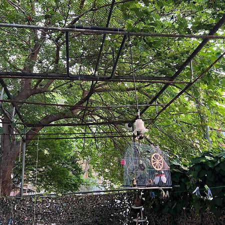 3 Room Flat In 第比利斯 外观 照片